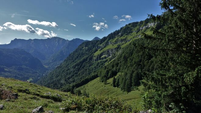 Weißenbachtal / Gamsfeld