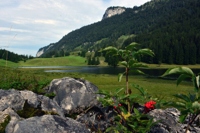 Andere Seewaldseeansicht