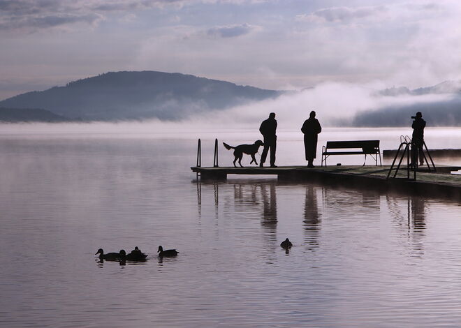 Frühmorgens am Wallersee...