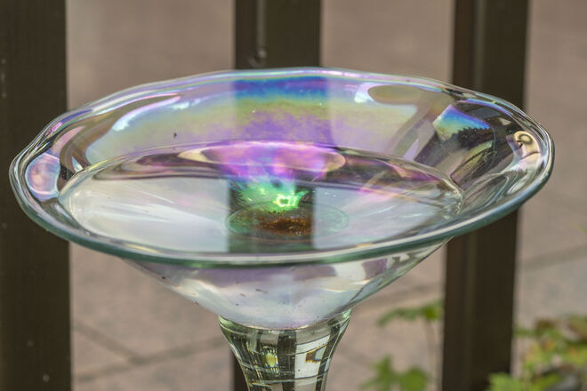 Für die gefiederten Freunde