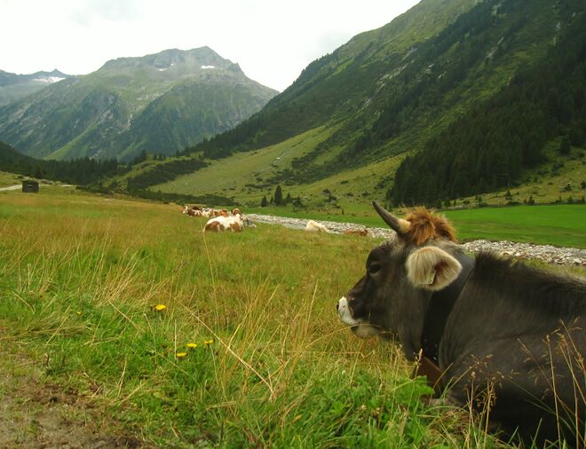 Ins Land einischaun...