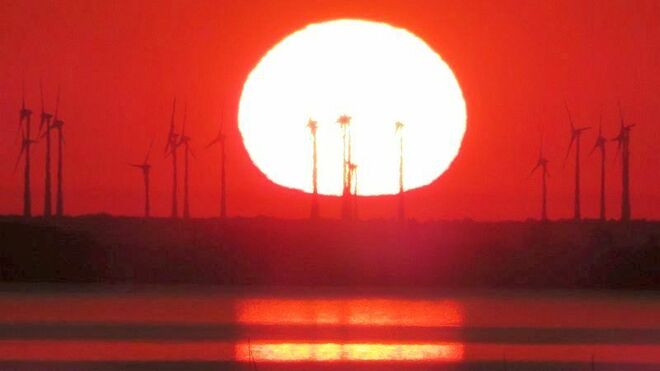 Sonnenaufgang am Neusiedlersee