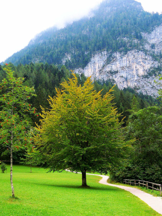 Will der Herbst schon Zeichen setzen ?