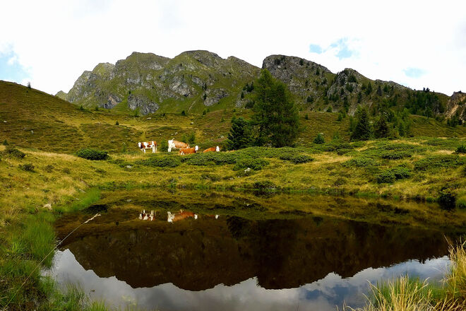 Lacken-Motiv im Granitzlkar