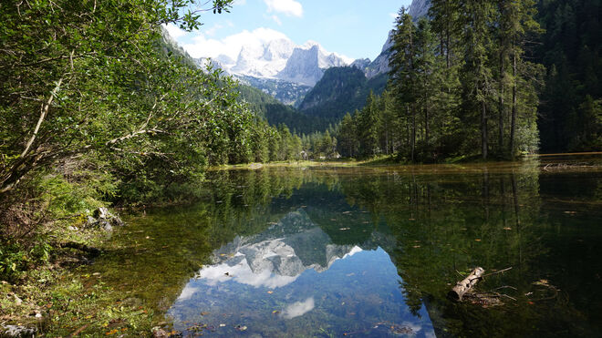 Am Weg zum Hinteren Gosausee