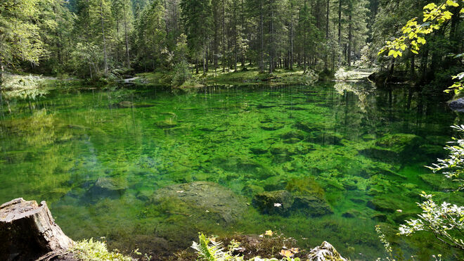 Glasklar und smaragdgrün