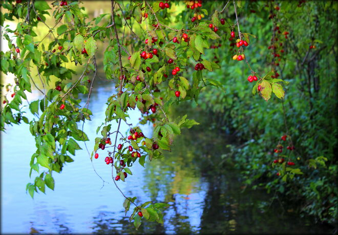 der Herbst klopft an....