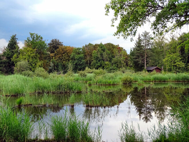 am leopoldskroner teich