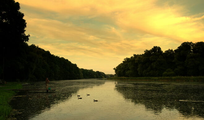 "DER ENTENFÜTTERER"
