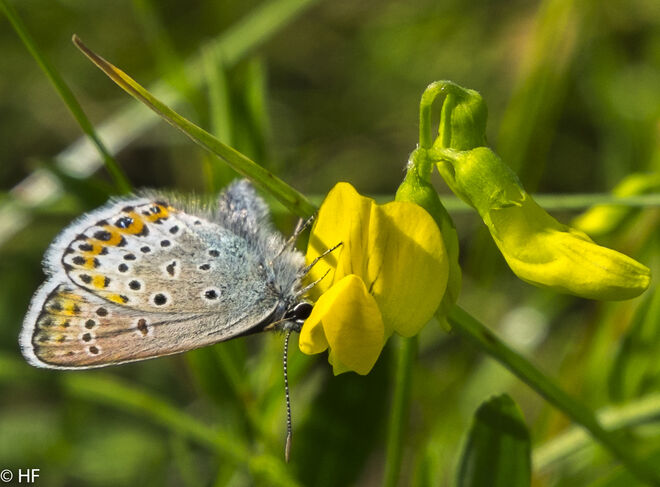 An der Innsbrucker Bundesstraße