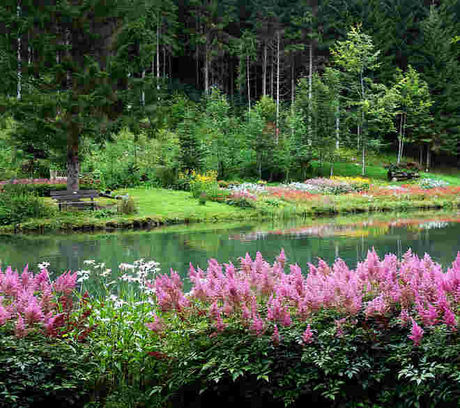 am Blumenteich