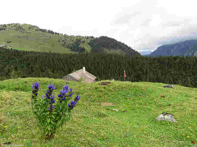Postalm Impressionen (4)