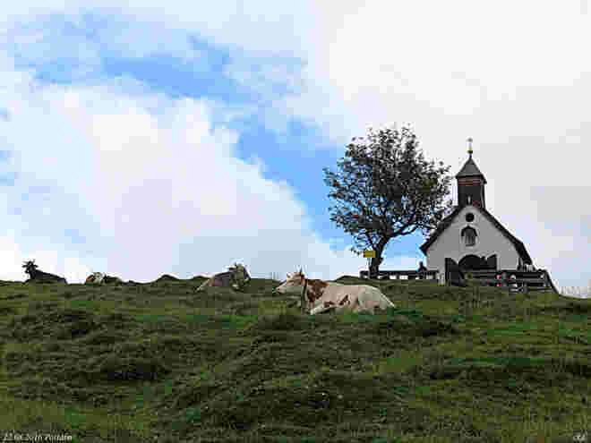 Postalm Impressionen (5)
