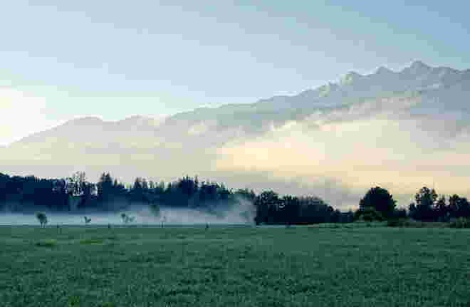Bereits herbstlicher Morgennebel