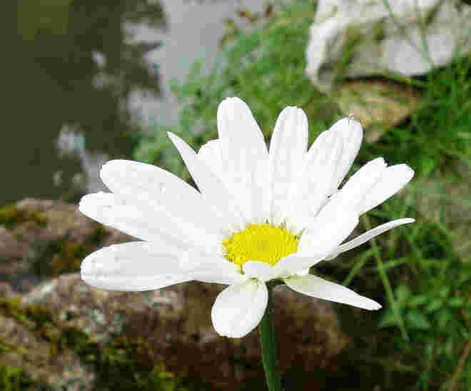 einzeln
