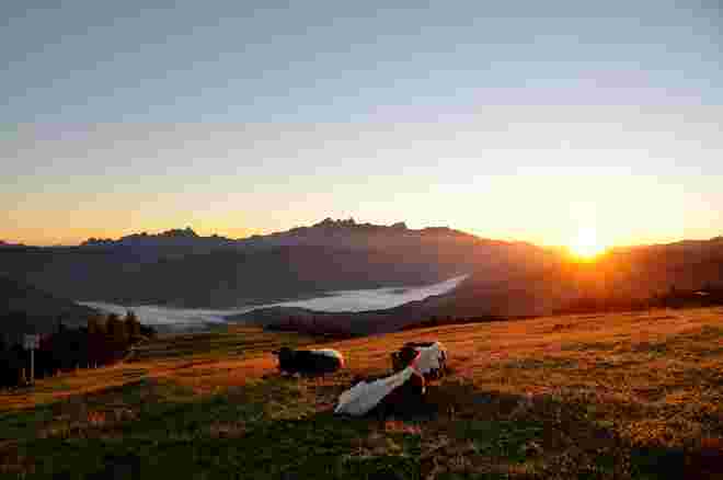 Sonnenaufgang auf der Alm