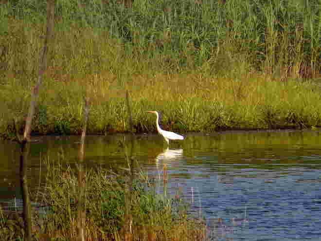 Fotowanderungen durch die Natur mit den Enkeln
