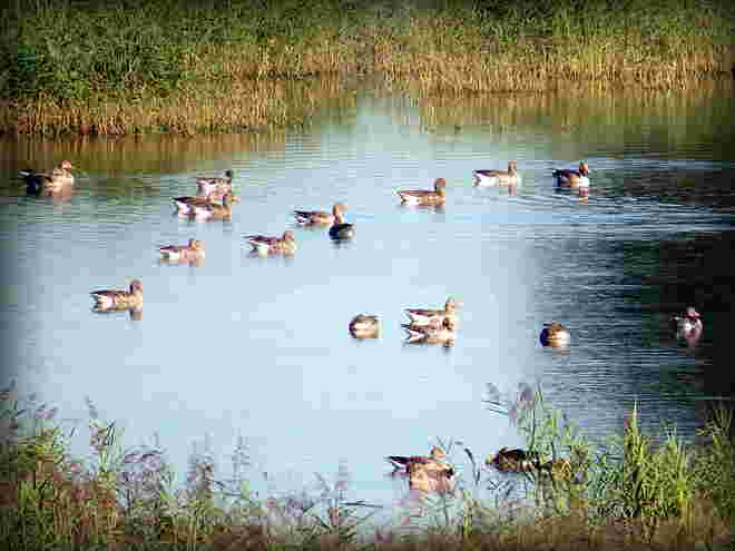 Fotowanderungen durch die Natur mit den Enkeln