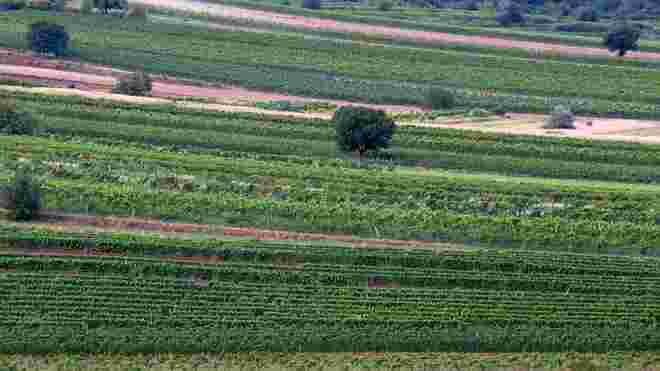 Burgenland Impressionen 1