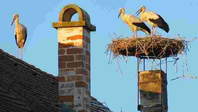 Burgenland Impressionen 2