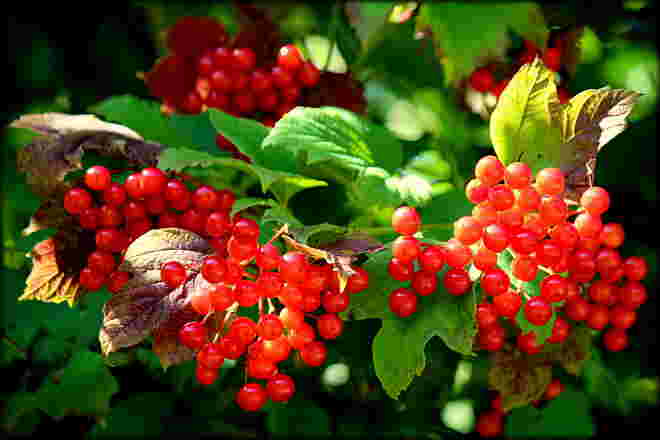 die neuen Herbstfarben sind  eingetroffen....
