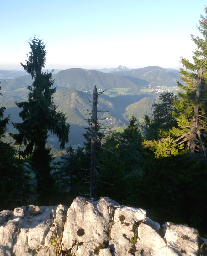 Schwarzenberg Gipfel