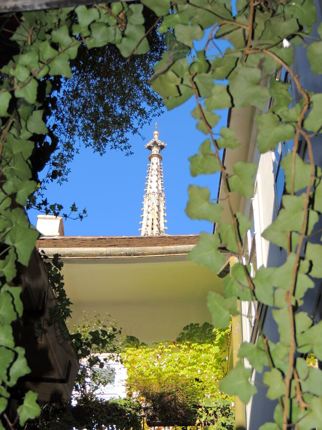 der Steffl einmal anders