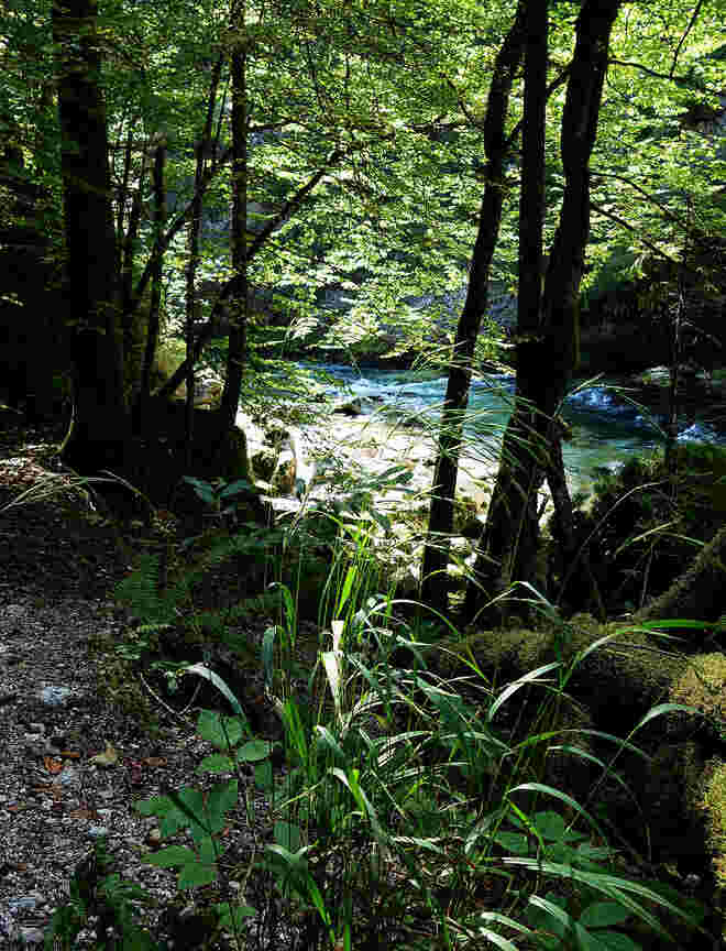 entlang der Steyr