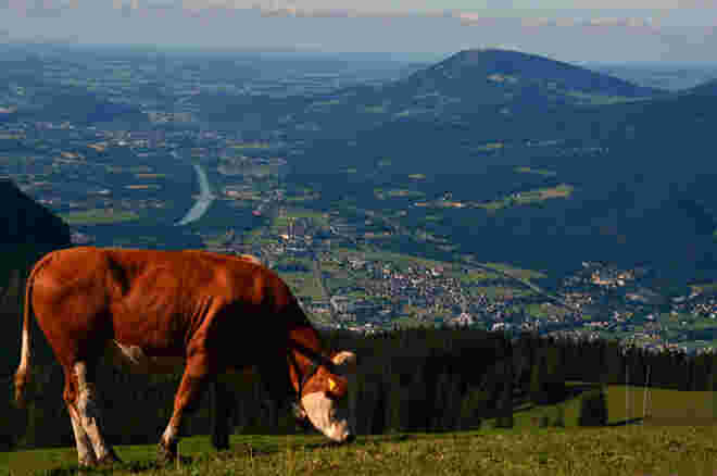 Blick ins Salzachtal