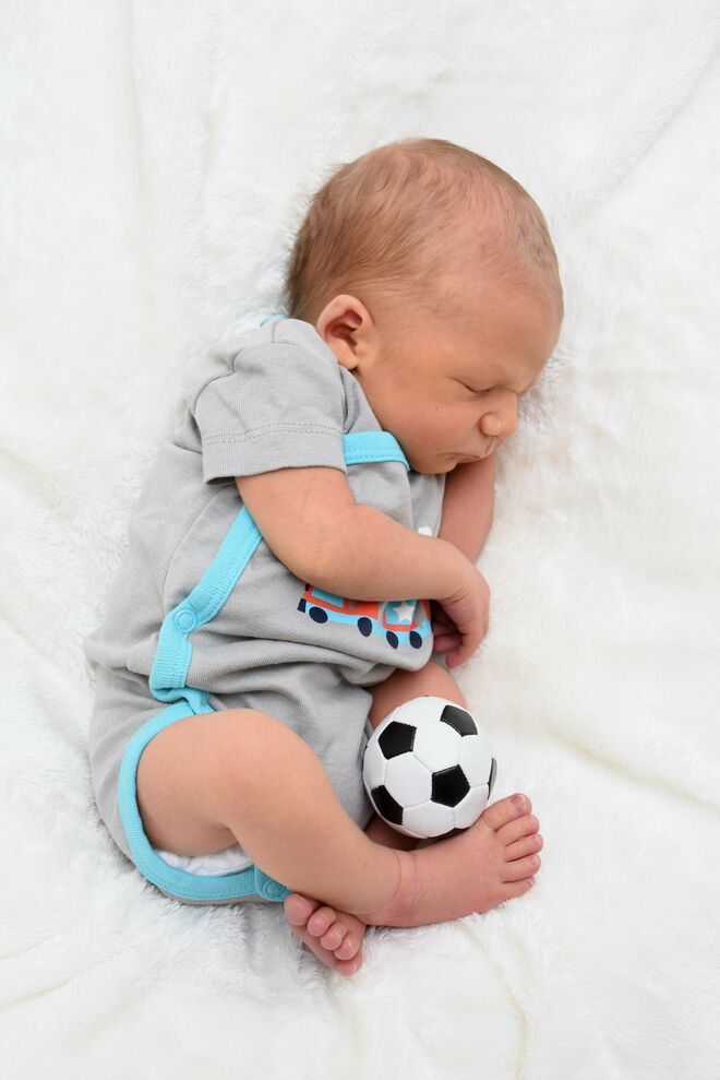 Theodor Robert Wanghofer