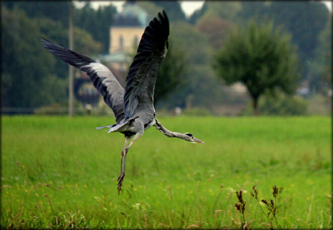 Startschwierigkeiten ;-)