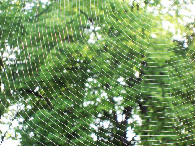 Die Künstlerin seilte sich ab