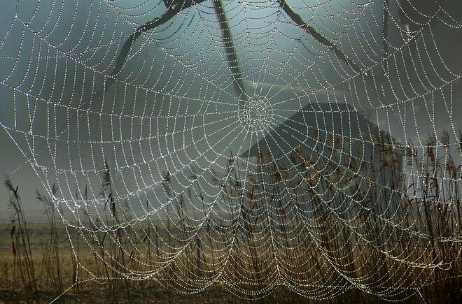 kalt - nass - neblig