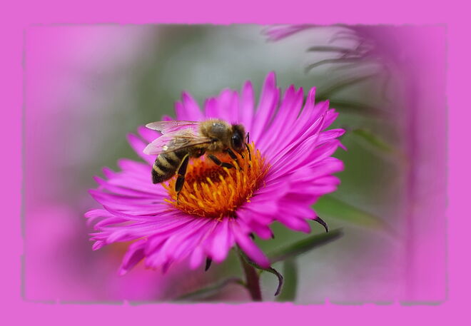 ... paradiesisch ....