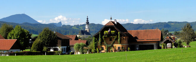 östliche Thalgauperspektive