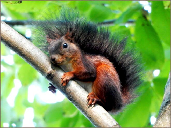 Lange bleib ich nicht mehr sitzen!!