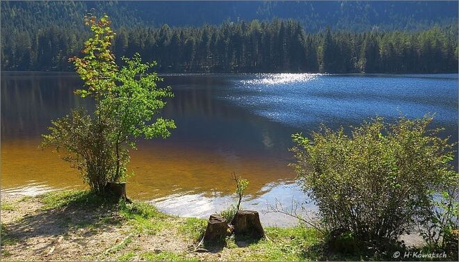 Farben des Ödensees