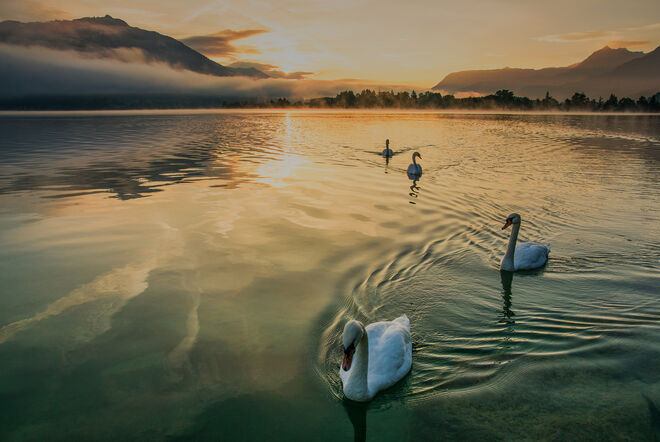 Morgenstimmung am Wolfgangsee