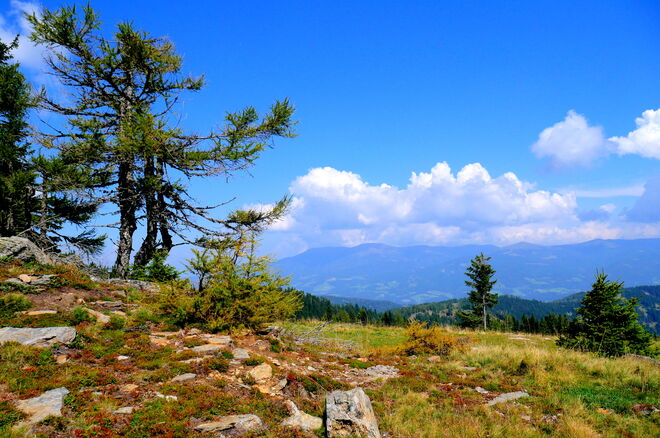 Spätsommertag auf der Alm