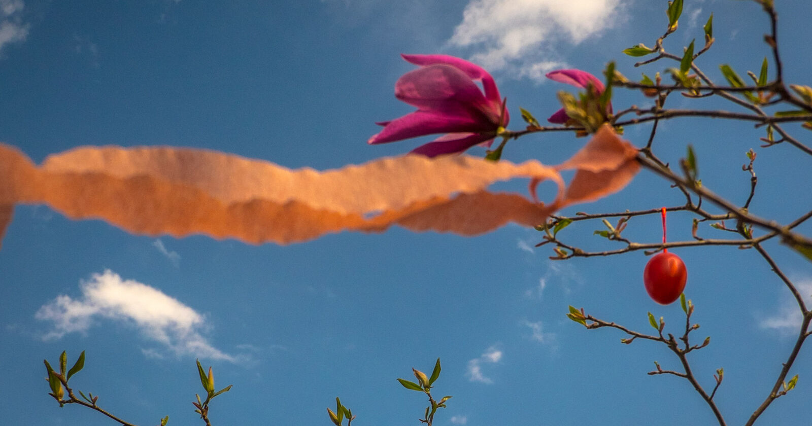 In der Kendlersiedlung Schöne Heimat Fotoblog SN.at