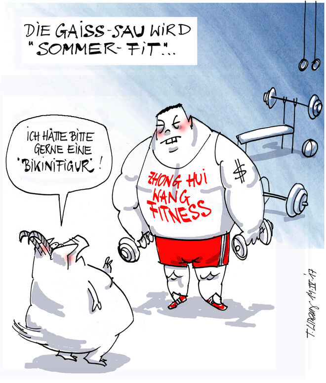 Der gute Wille zählt...