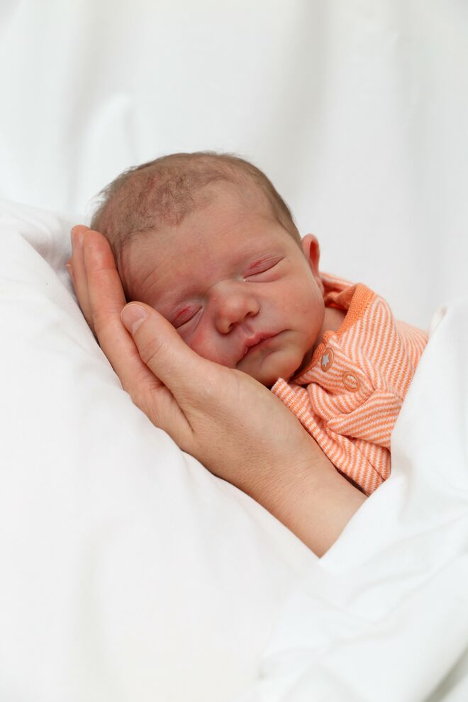 Rosa Baldari-Rauscher