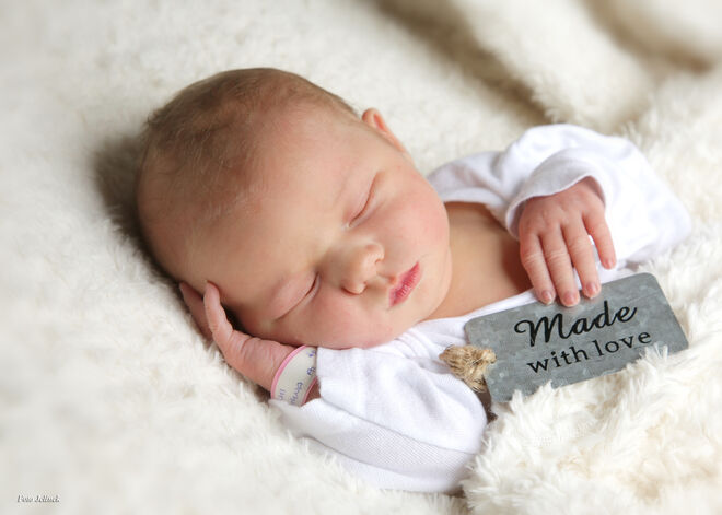 Katharina Aloisia Hollaus