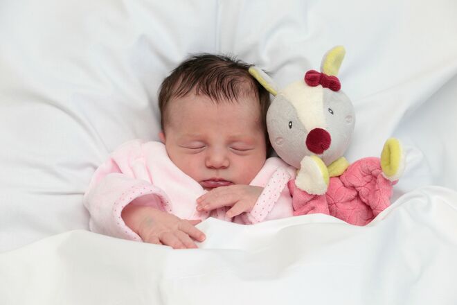 Laura-Michelle Wagenhammer