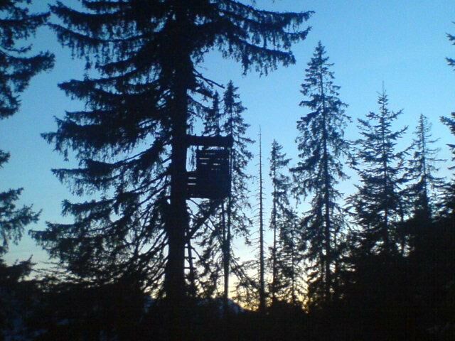 Jägerhochsitz im Wald vor untergehender Sonne