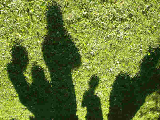 Schatten im Gras