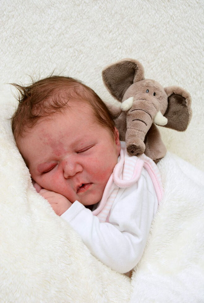 Carolina Anna Florentina Prantl-Staufner