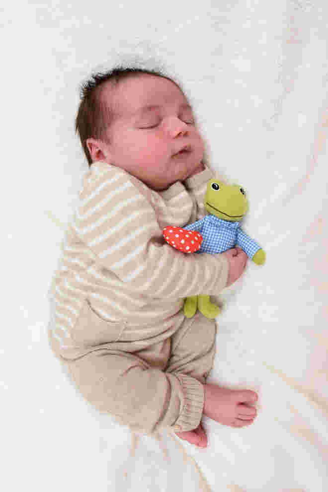 Noah Schweiger