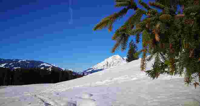 ... herrliche Wanderung!
