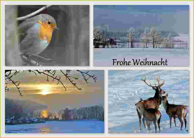 Ich wünsche Euch *Frohe Weihnachten*